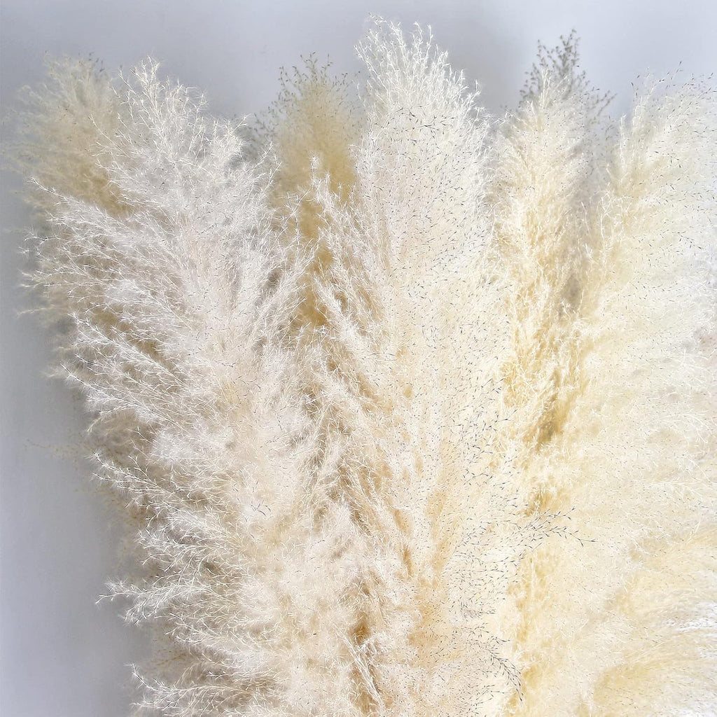 46" inch 10 Stems Natural Pampas Grass Decor Tall, Pompas Grass, Tall Pampas Grass for Weddingm, Farmhouse, Boho Home Decor (Ivory)