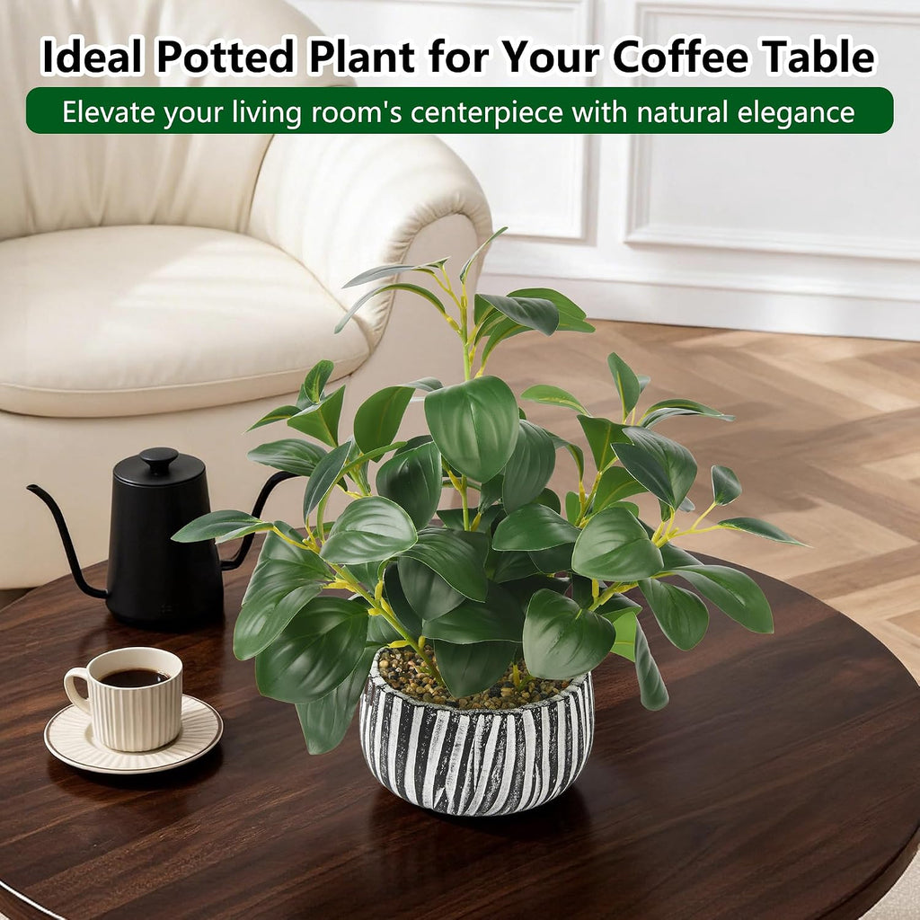 florisso Fake Plants Artificial Plants Indoor, Faux Potted Plants Indoor Artificial Succulents with Fig Leaf Look Real Greenery with Planter for Office Desk Coffee Table Home Decor(Black White)