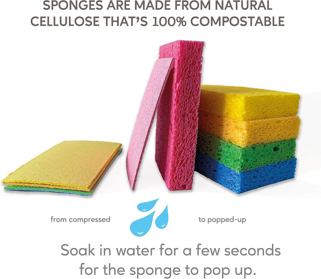 EPLANITA Pop-Up Sponges (10 Pack) Natural Cellulose, Scratch-Free Cleaning for Kitchen & Bathroom, Washing Up, Eco Scrub, DIY Crafts
