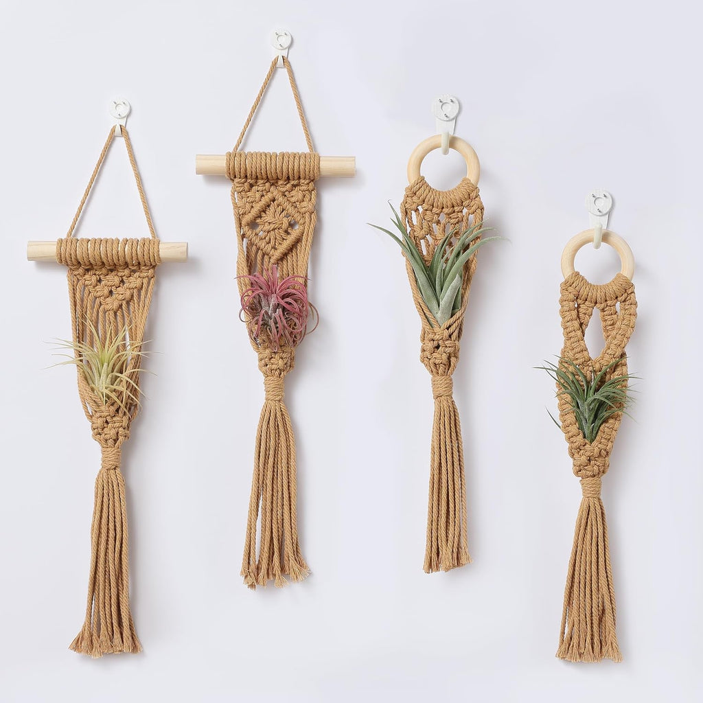 4 Pack Air Plant Holder, Air Plant Wall Hanger, Wall Plant Holder