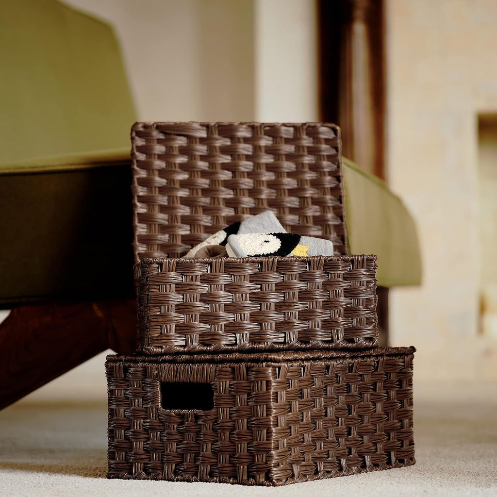 GRANNY SAYS Wicker Baskets with Lids, Decorative Storage Boxes with Lids