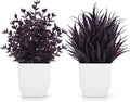 Der Rose 2 Pack Plum Small Fake Plants for Halloween Gothic Home Decor