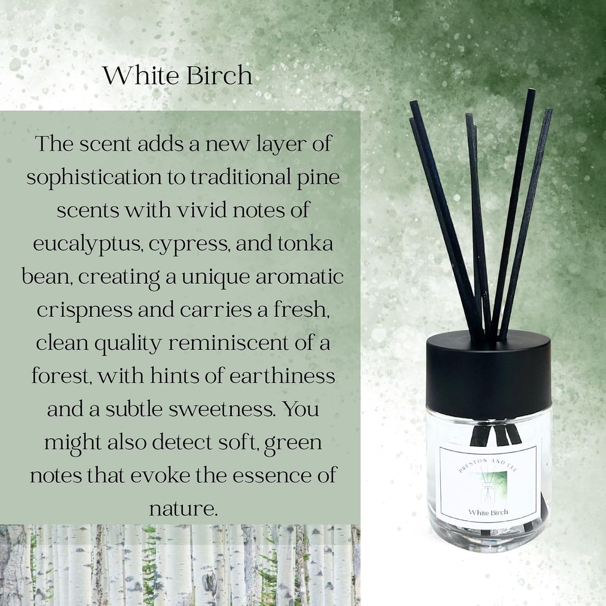 Reed Diffuser Set | 100 ml (3.4 fl oz) White Birch Scent | Reed Diffuser Set | Aromatherapy Diffusers | Reed Diffuser Oil for Home and Spa Fragrance
