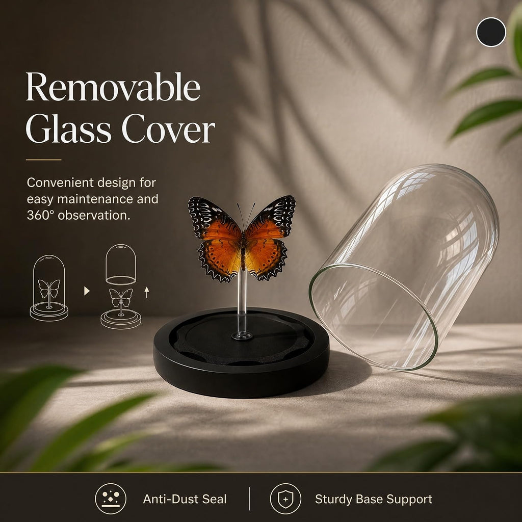 Real Taxidermy Butterfly Specimen Shadow Box, Butterfly Gifts for Women Girls with Glass Cover, Butterfly Decor for Bedroom Office Living Room Desk Cethosia bibles Drury