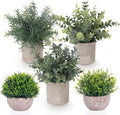 Fake Plants,5PCS Small Artificial Greenery Eucalyptus Plants Indoor in Pots