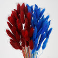 100 Pcs Dark Blue and Red Bunny Tails Dried Flowers