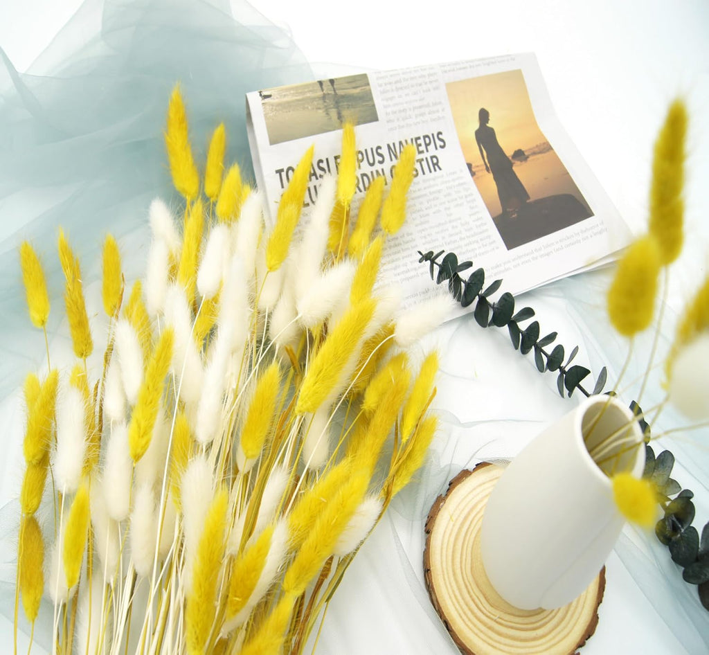 Dried Bunny Tails Flowers 120pcs Tail Dried Flowers Pampas Grass Natural Dried Floral Arrangement 17" for Christmas Halloween Boho Decor Home Wedding DIY Craft Decoration(White and Yellow)