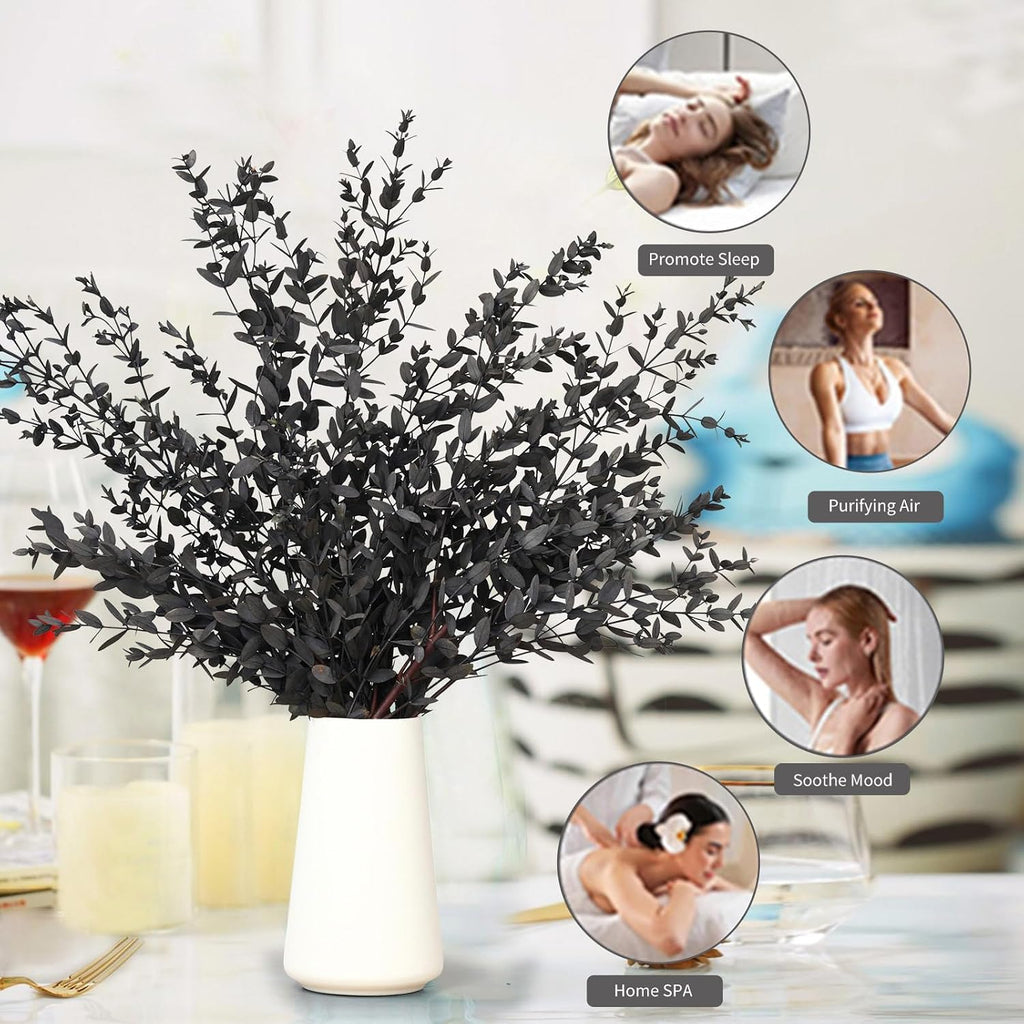 Dried Eucalyptus Leaves Stems, Real Preserved Fresh Eucalyptus Plant for Shower, Small Dried Willow Branches Bundle for Wedding Wreath Party Home Fragrance Vase Bathroom Decor (Black, 3oz)