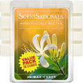 Scentsationals Honeysuckle Nectar Scented Wax Melts, 15oz (36 Cubes)