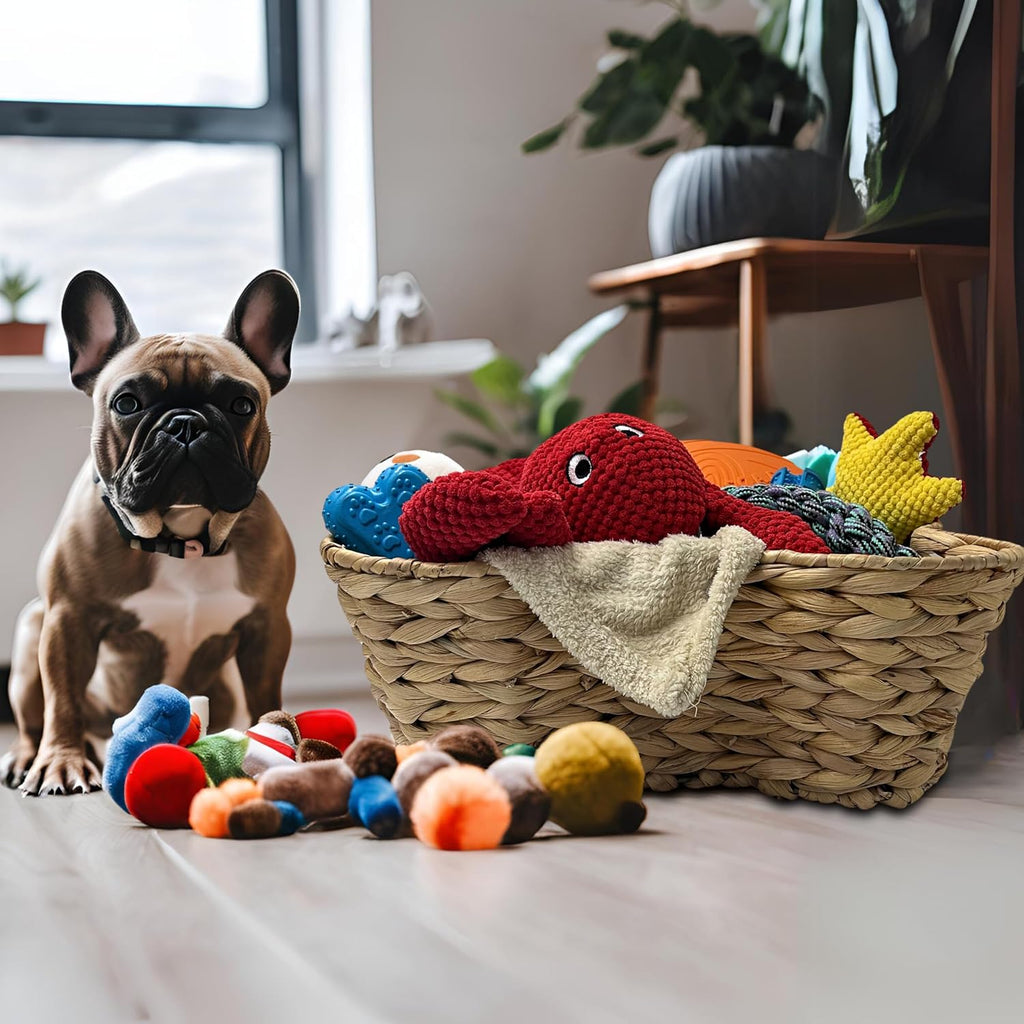 OtterPets Dog Toy Basket, Hyacinth Bone Shaped Dog Toy Bin, 17x13