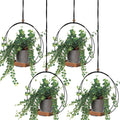 Geelin 4 Pcs Hanging Plant Holder with Wood Base Window Planter Boho, Brown