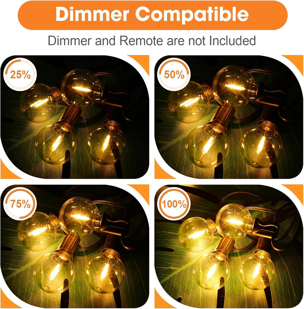 GvvooHome 25 Pack G40 LED Outdoor String Light Replacement Bulb, Warm White