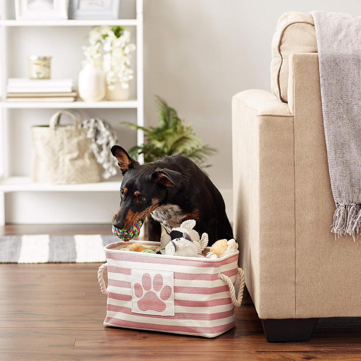 Bone Dry Dog Toy Basket, Rectangle Rose Small, Collapsible