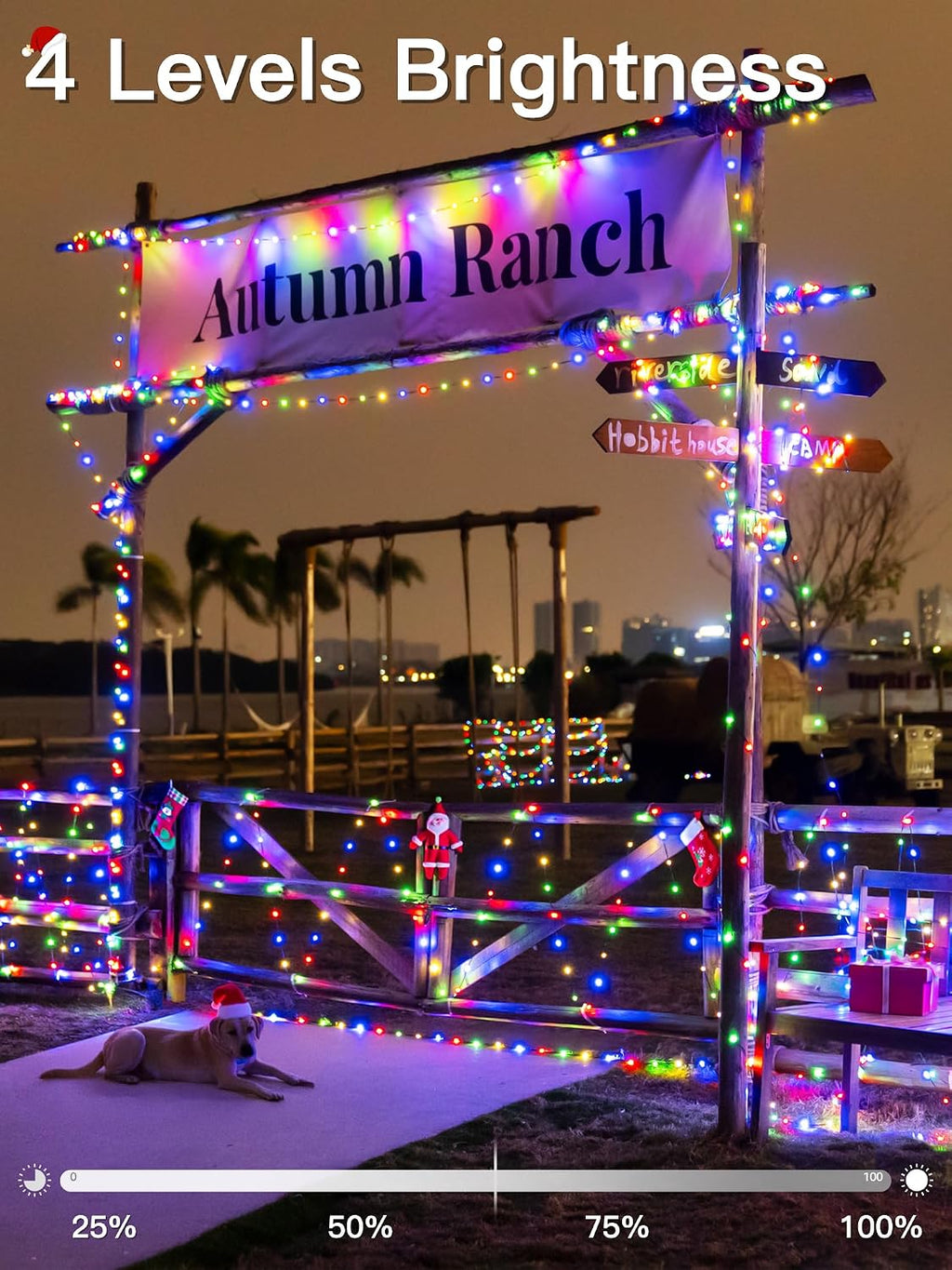 Christmas Lights Outdoor 1000LED 328FT, Multicolor String Lights