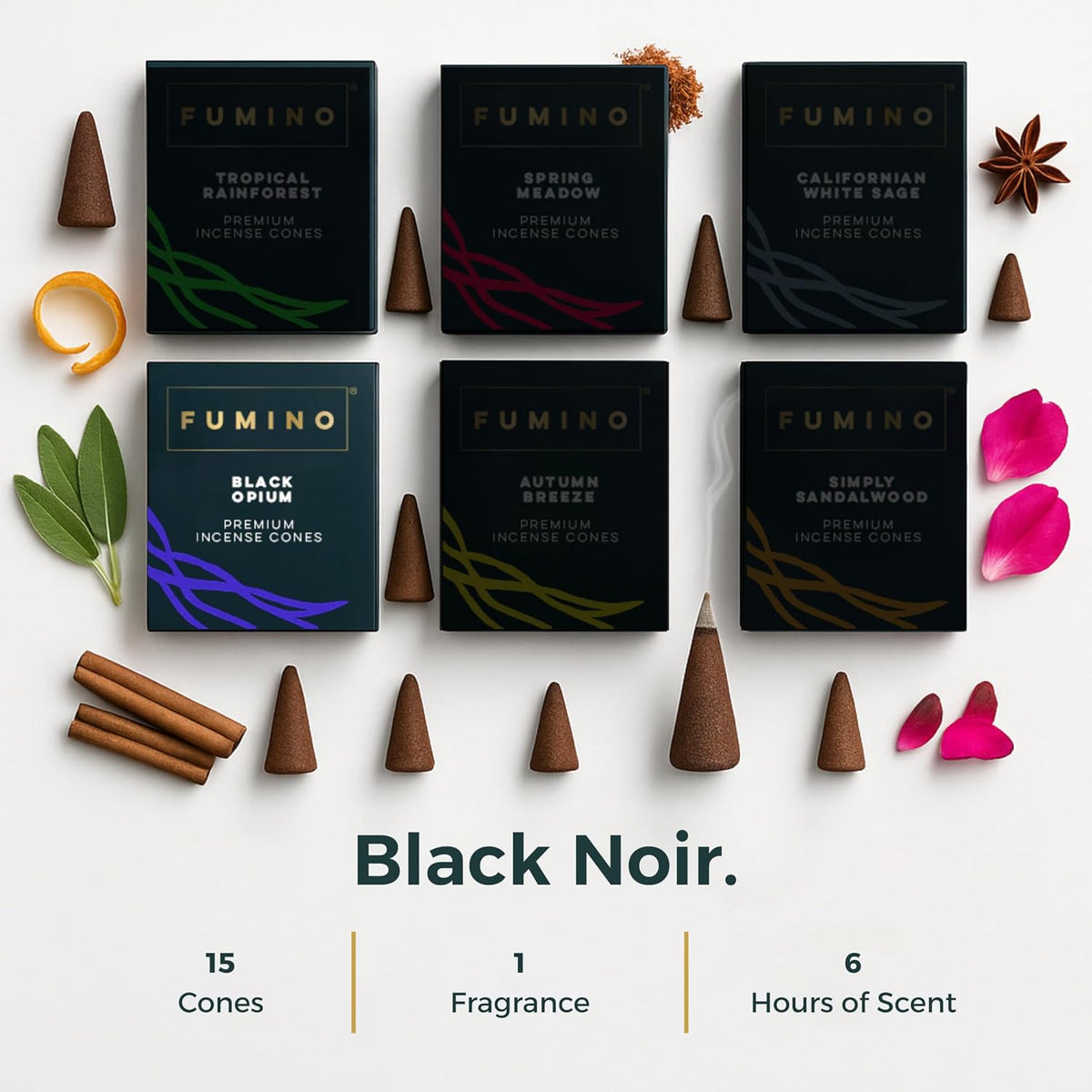 Fumino Black Noir Incense Cones 45 Pack - Handmade Natural Masala Incense Cones for Meditation & Home Fragrance, Low-Smoke Deep Woody & Musky Scent, Bureau Veritas Certified