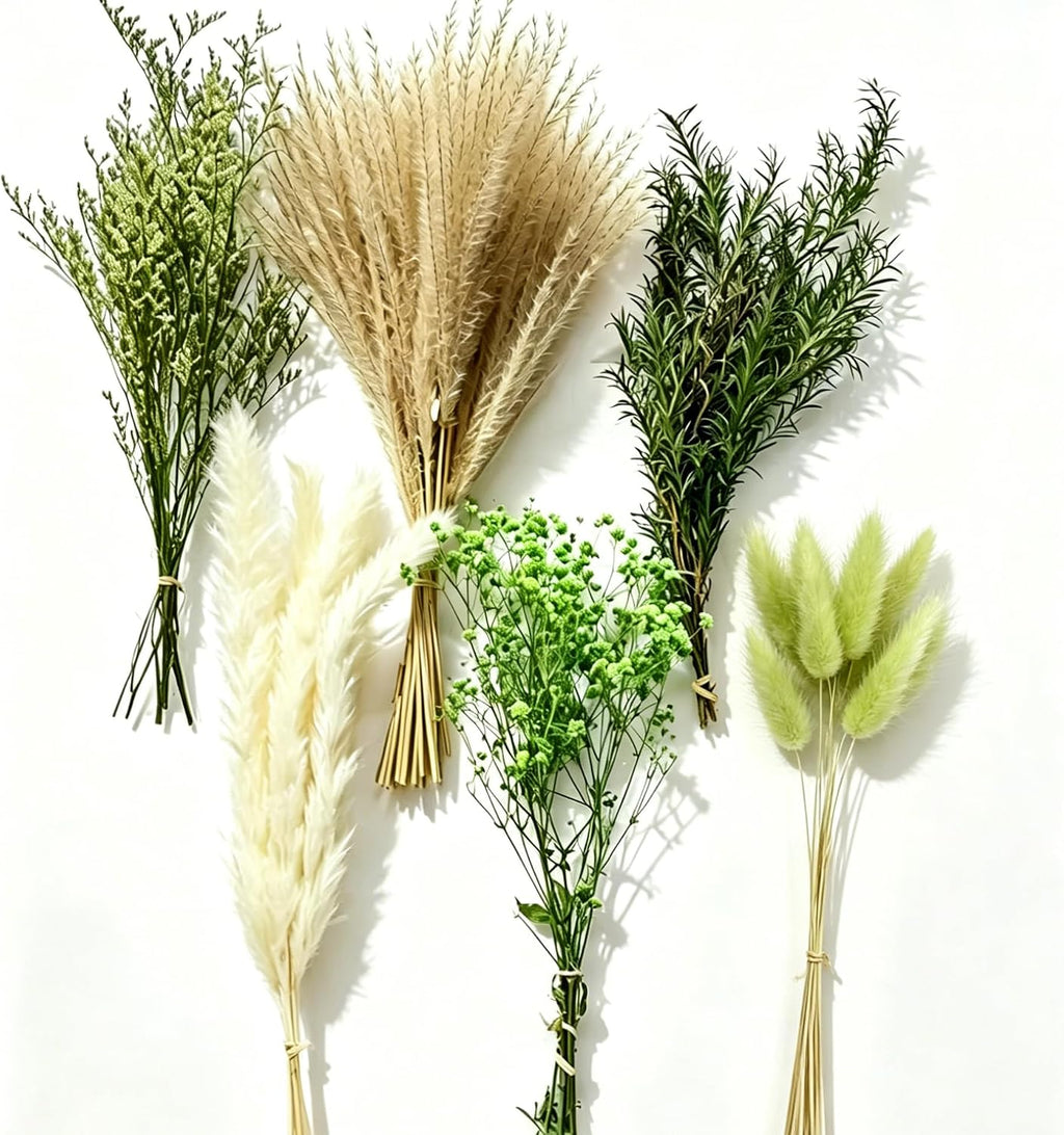 6 Kinds Green Pampas Grass Dried Flowers Bouquet