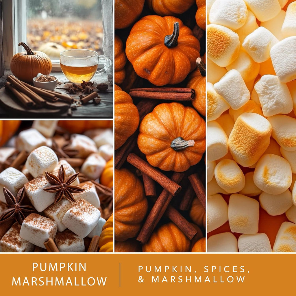 Scentsationals Fall Wax Melts Pumpkin Party 4pk – Long Lasting, Strong Scent Melts for Warmers, Includes Pumpkin Spice with Apple Muffins, Marshmallow, and Caramel, 10oz (24 Cubes)