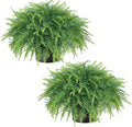 2 Sets Artificial Boston Ferns Topiary Plants for Front Porch Decor(Green)