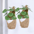 2 Pack Macrame Wall Plant Hanger for 4 inch, Wall Plant Basket