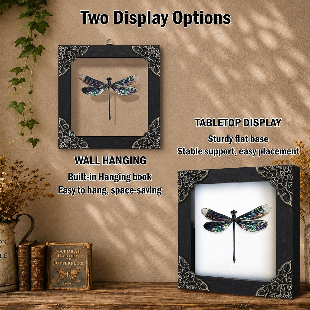 Real Dragonfly 4.7" Framed Insect Specimen Taxidermy Gothic Gift K12-85-KI