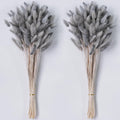 120 PCS Dried Pampas Grass Decor, 17-inch Pompas Floral, Dry Flowers for Decoration, Pampas Grass in Bulk Tall, Bunny Tails Dried Flowers for Boho Wedding Decor