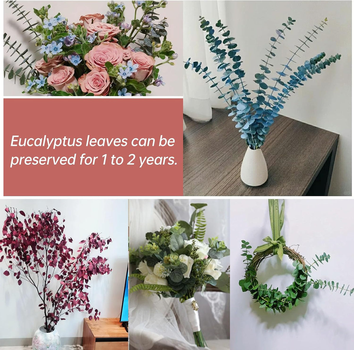 20 Pcs Dried Eucalyptus Stems, 17'' Real Red Leaves for Fall Decoration