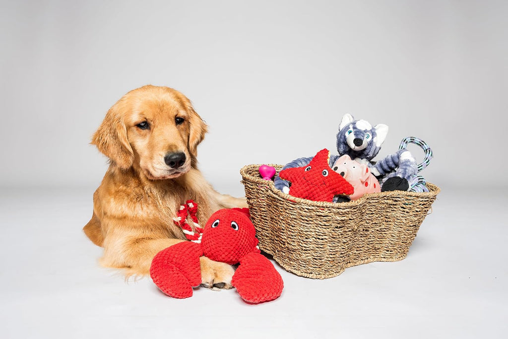 OtterPets Dog Toy Basket, Seagrass Bone Shaped Dog Toy Bin, 17x13”