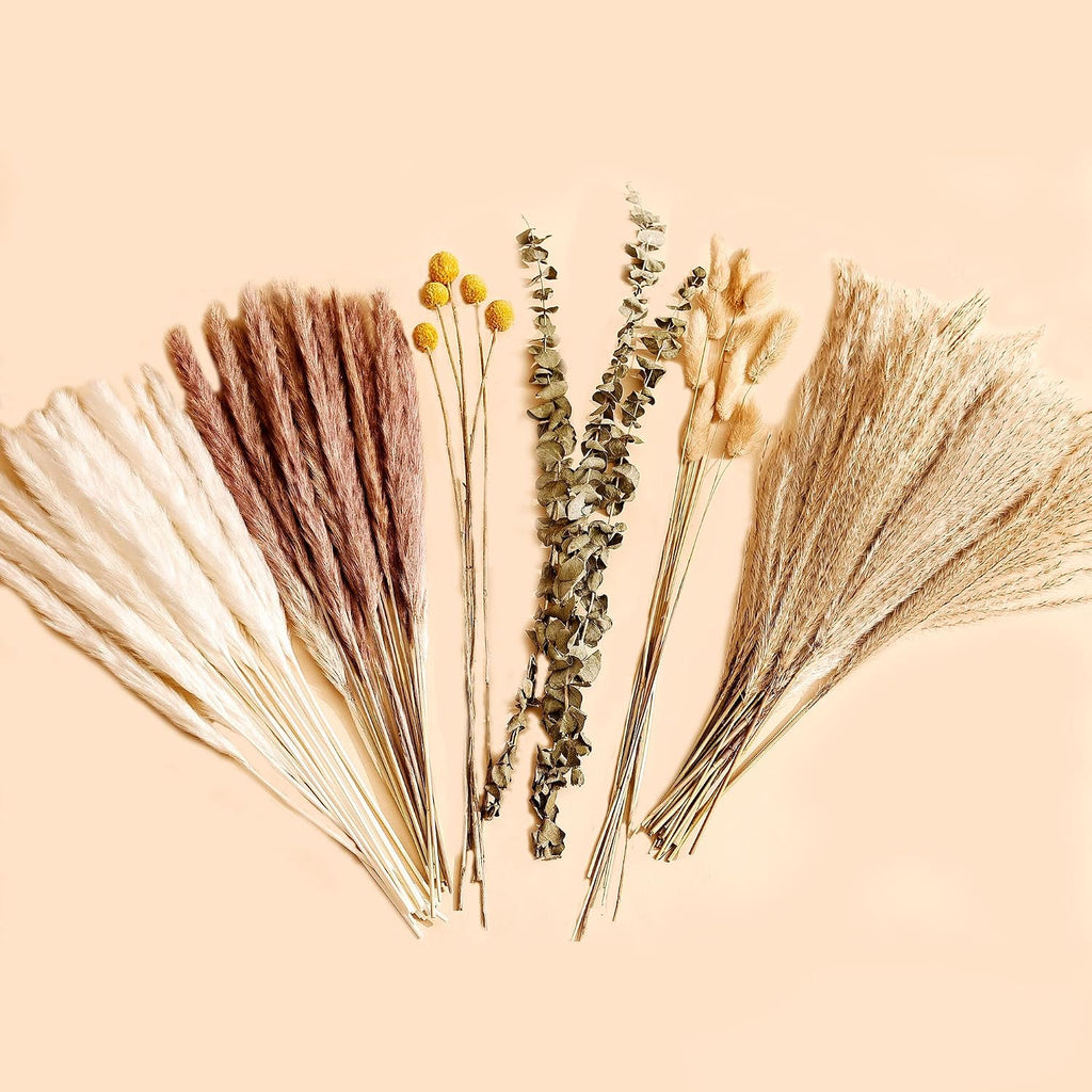 Natural Dried Pampas Grass Bouquet 78pcs 17inch Home Decor, White Pampas & Brown Pampas & Reed Grass & Bunny Tails Grass & Craspedia & Eucalyptus, Boho Wedding Decor Flowers Arrangement