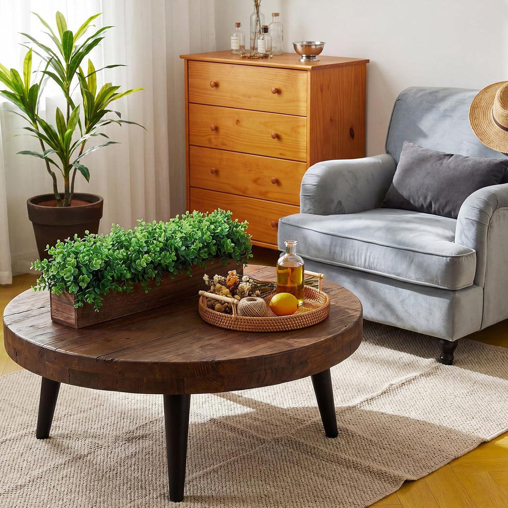 Lyrow 2 Pack Eucalyptus Plant,Brown,24 Inch,Emerald Green Round Leaves