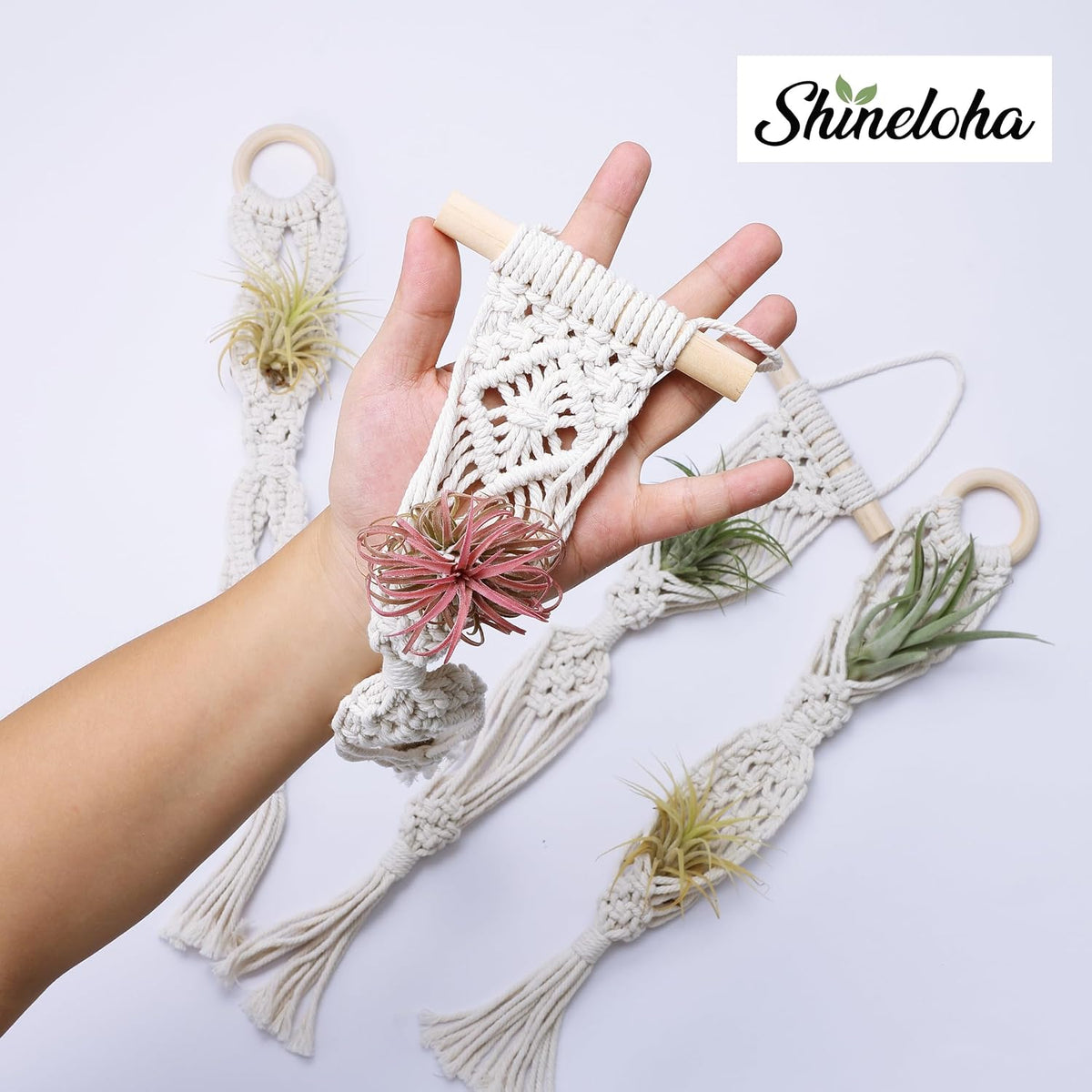 2 Tier 4 Pack Air Plant Holder, Air Plant Wall Hanger