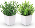Der Rose 2 Pack Artificial Greenery Plants Indoor for Office Desk Decor