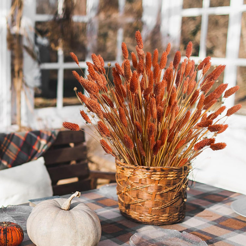 120pcs Fall Burnt Orange Bunny Tails Dried Flowers,17" Dried Natural Bunny Tails Fluffy Orange Pampas Grass Decor Lagurus Ovatus Boho Flower Arrangements for Fall Home Decor Wedding