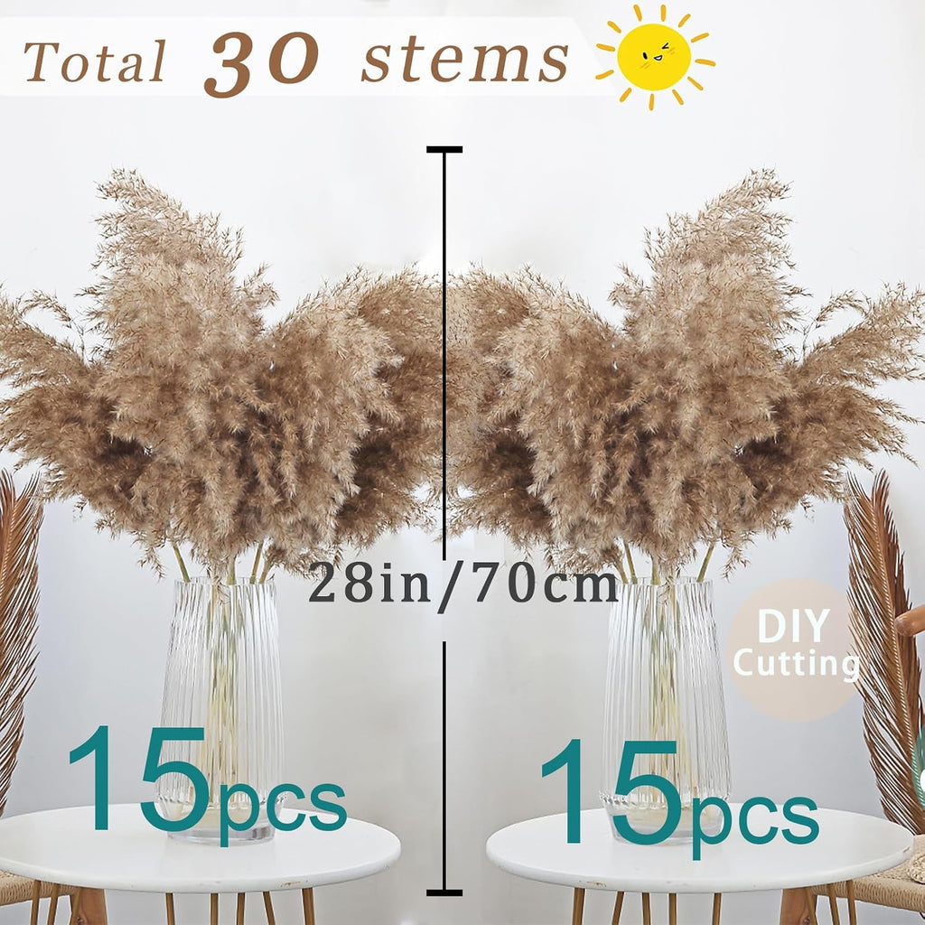 30 Stems 28” inch Fluffy Brown Pampas Grass Decor Tall - Natural Dried Pampas Grass, Large Pompas Grass, Dry Pampas Bulk for Living Room Decor, Boho Home Decor , Wedding Decor , Gift( 30 Brown )