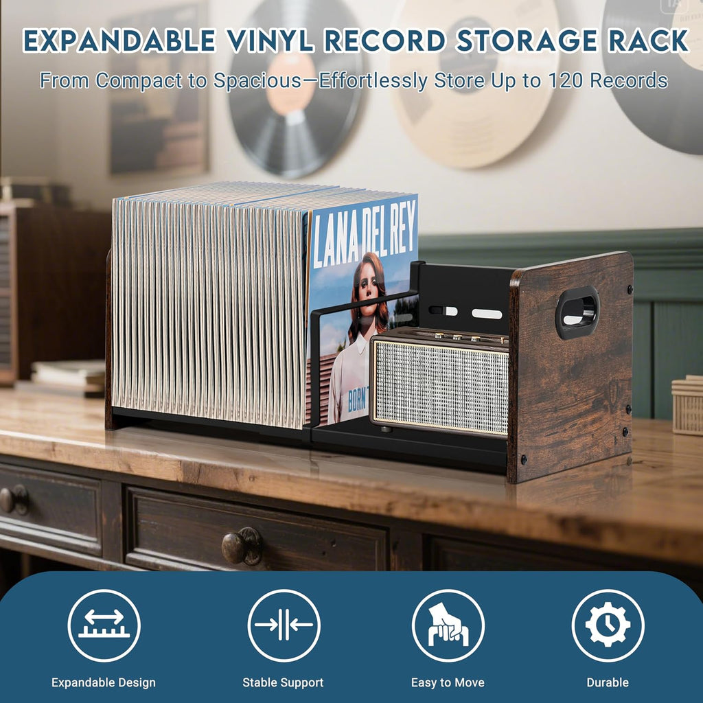 Expandable Vinyl Record Storage Rack, Holds 60-120 LPs, Magazine Rack