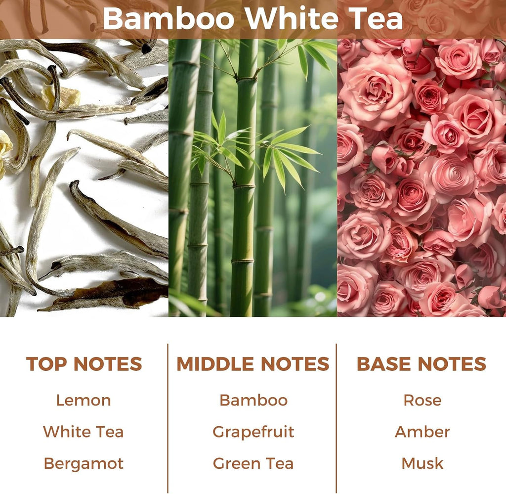Bamboo White Tea Reed Diffuser Set,3.38 fl.oz(100ml)