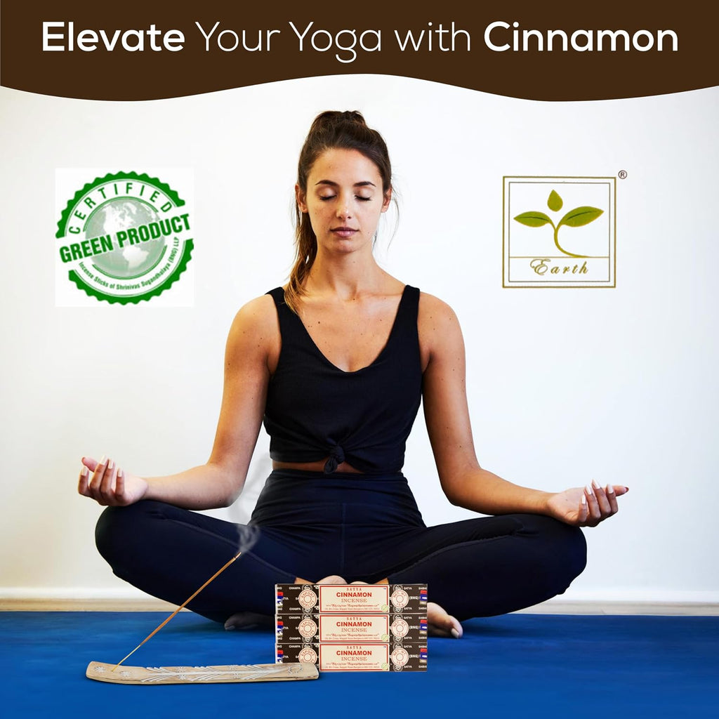 Satya Cinnamon Incense Sticks, Satya Bng (Bangalore) Insenses 15gmx3 Pack with Raajsee Incense Holder Bundle, Satya Nagchampa Natural Incense