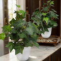 alyptus Fake English Ivy Plants in Pots Set of 2 – Realistic Artificial Ivy Greenery for Home Decor, Tabletop, Office, Shelf, Balcony or Bathroom - Green with White Pots