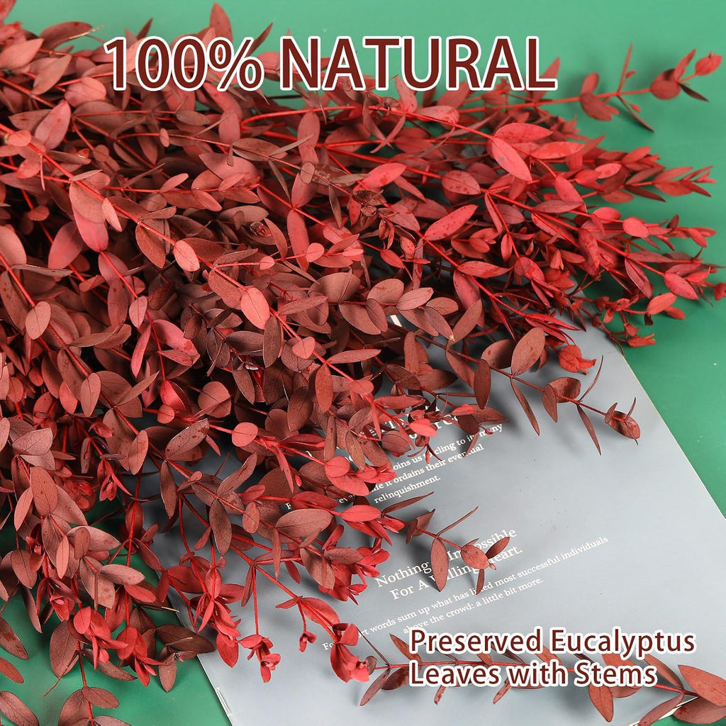 Dried Eucalyptus Leaves Stems, Preserved Real Eucalyptus Plant, Dried Willow Branches Bundle for Wedding Wreath Home Fragrance Vase Filler Bathroom Decor, Fall Arrangement Decorations (Red, 3oz)