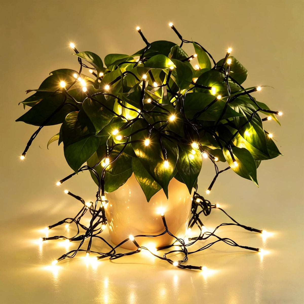 2 Pack Battery Operated String Lights - 9.8ft 30 LEDs Warm White
