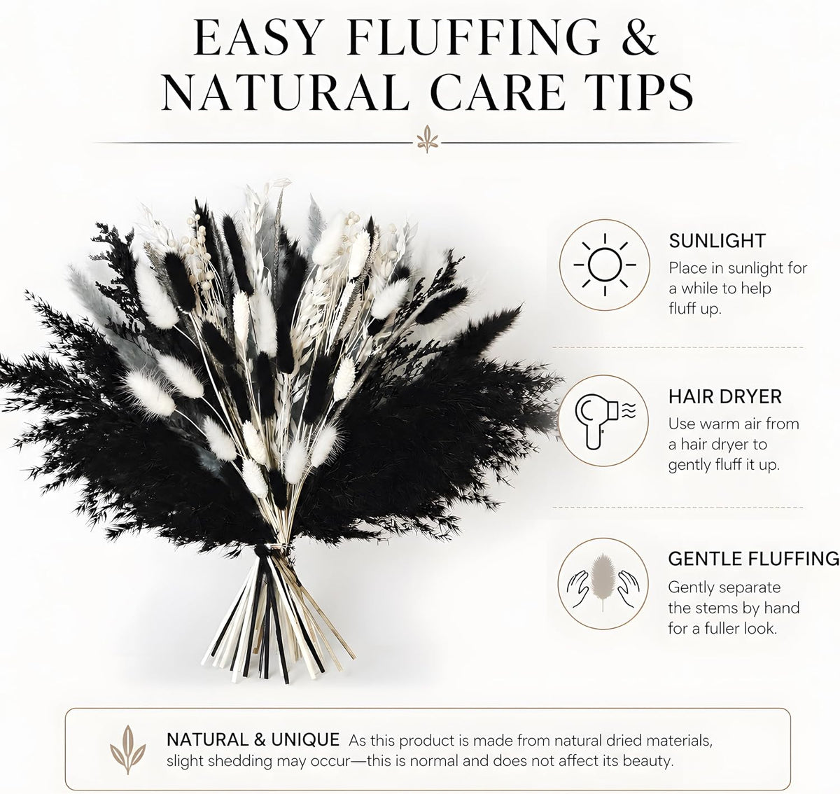 Black Pampas Grass Bouquet, Dried Flowers for Halloween and Boho Home Decor