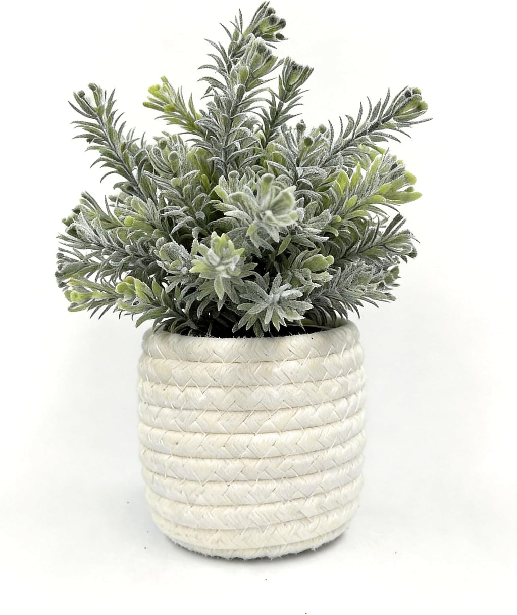 Hopewood Small Artificial Plants Eucalyptus with a Weave Basket Potted Plants for Home Office Desk Farmhouse Indoor Decor