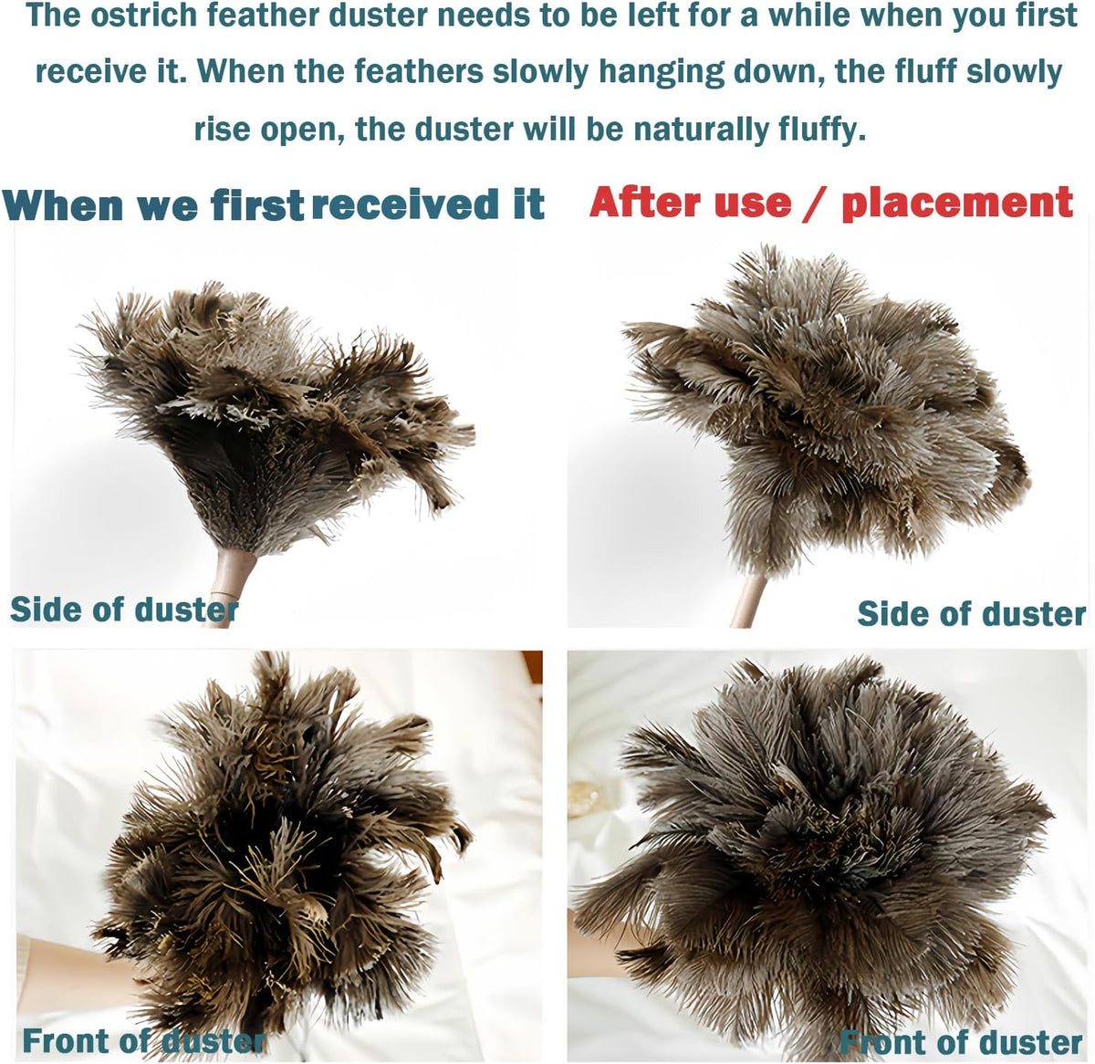 DDZMZ Ostrich Feather Duster for Cleaning with Wooden Handle, 16", Brown