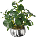 florisso Fake Plants Artificial Plants Indoor, Faux Potted Plants Indoor Artificial Succulents with Fig Leaf Look Real Greenery with Planter for Office Desk Coffee Table Home Decor(Black White)