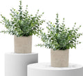 2 Pack Fake Plants Eucalyptus Potted for Home Office Bathroom Decor | Sage Green Frosted Artificial Plants, Pet and Kids Safe, Maintenance - Free Farmhouse Decor for Shelf Desk Bedroom Coffee Table