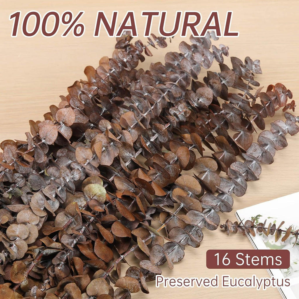 16 Pcs Dried Orange Eucalyptus Stems, 17" Preserved Eucalyptus Shower Plant