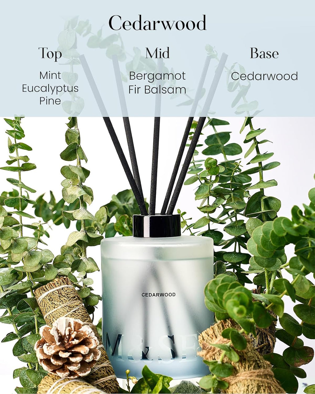 M&SENSE Reed Diffuser Set, Cedarwood, 17 oz Natural Essential Oil