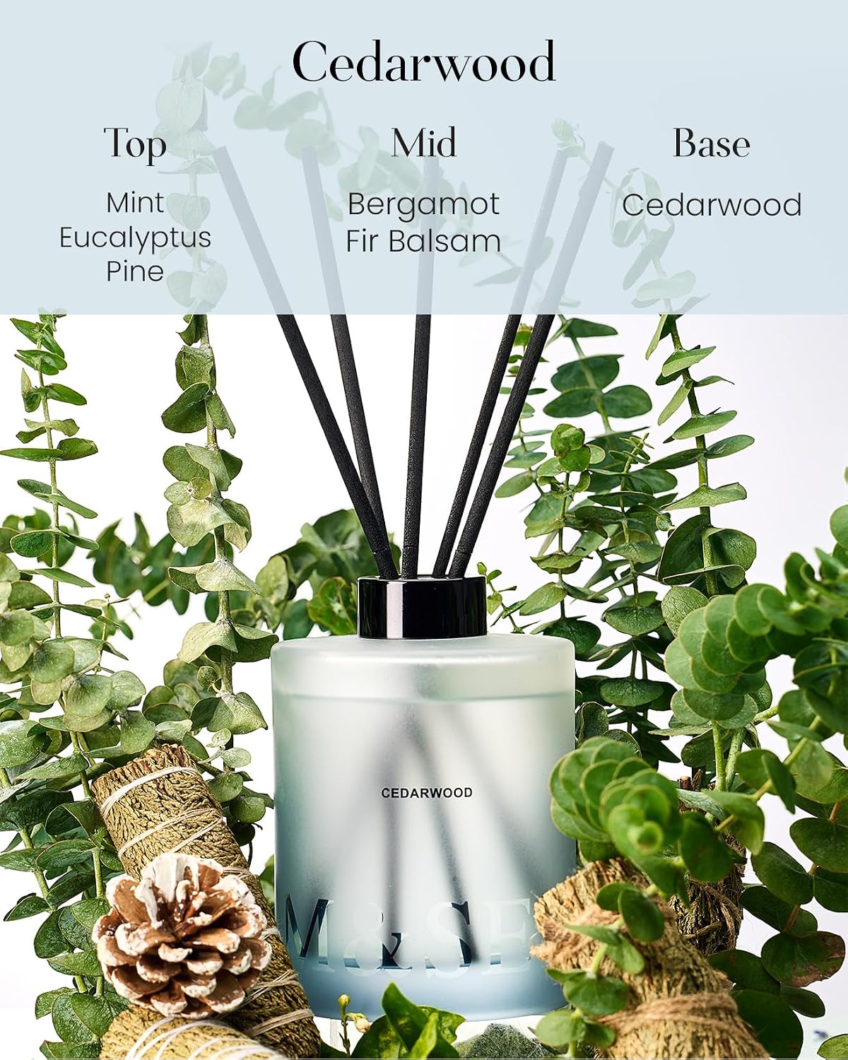 M&SENSE Reed Diffuser Set, Cedarwood, 17 oz Natural Essential Oil