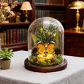 Glass Taxidermy Butterfly Shadow Box, Butterfly Gifts for Women Girls with Glass Cover, Light Up Butterfly Decor for Bedroom Office Living Room Desk (Not Include Battery)