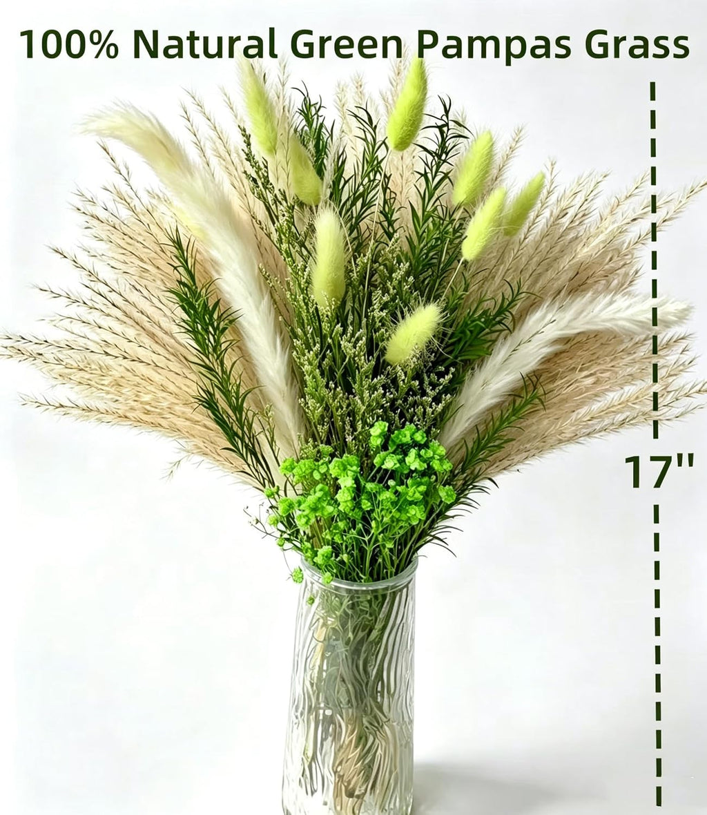 6 Kinds Green Pampas Grass Dried Flowers Bouquet