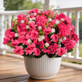 Olatay 12 Bundles Mixed Color Artificial Flowers for Outdoor, Artificial Geraniums Flowers for Outdoor, UV-Resistant Fake Geraniums for Porch, Balcony, Garden, Indoor Decoration (Rose Red)